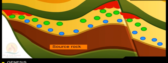 petro-tube-1.png
