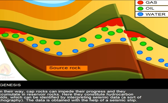 petro-tube-1.png