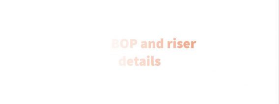 Edit BOP and riser details