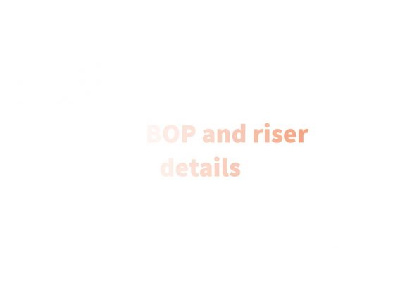 Edit BOP and riser details