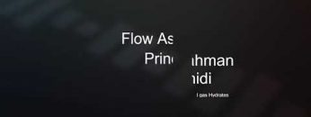 Flow assurance Principles: Introduction and gas hydrates