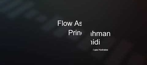 Flow assurance Principles: Introduction and gas hydrates