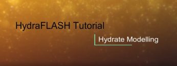 HydraFLASH 3.7: Hydrate Modelling