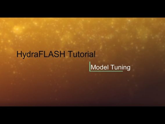 HydraFLASH 3.7: Model Tuning