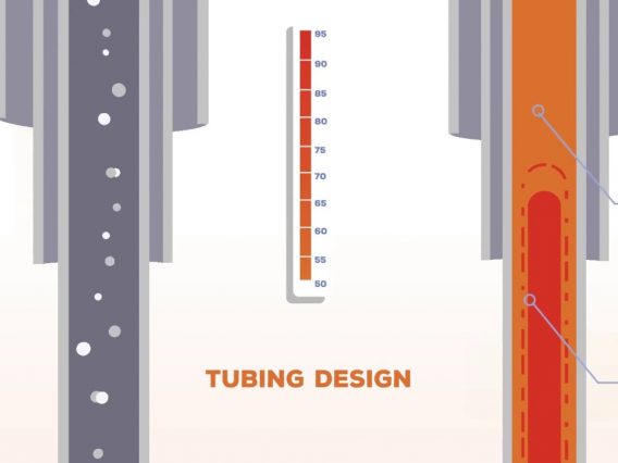 Oliasoft WellDesign – Tubing Design