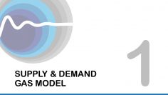 FlowTran-X Tutorial 1: Gas Supply – Demand Model