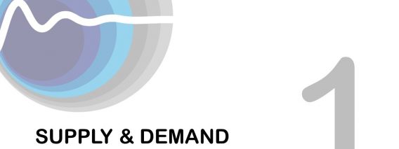 FlowTran-X Tutorial 1: Gas Supply – Demand Model