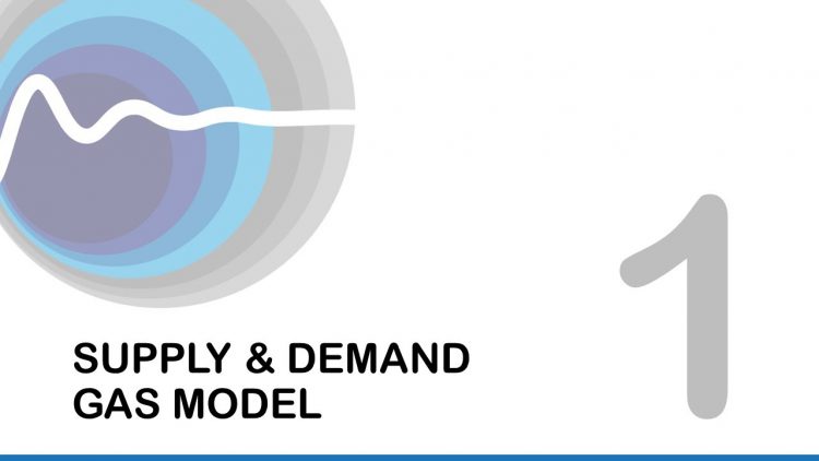 FlowTran-X Tutorial 1: Gas Supply – Demand Model
